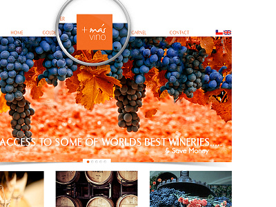 Masvino best brand branding dealer design dribbble favorite fun orange popular webdesign website design website redesign wine wine dealer