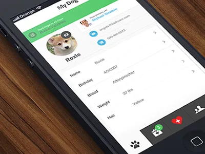 iOS App Profile interface ios iphone