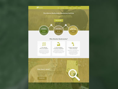 Ok, final shot of the Moose! animals bio flat green image moose nature slab ui user experience ux web design
