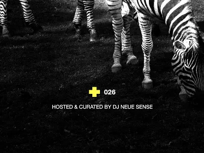 Audio Chapel Episode 026 audio chapel compilation independent music texture zebra