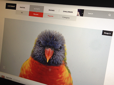 Photo camera colorful concept design flat gallery image photography simple ui web website