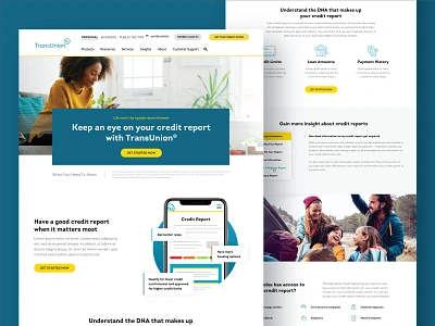 TransUnion :: Credit Report blue business credit credit report credit score credit theft financial fraud protection identity theft landing page mockup money risk score security uiux web design website