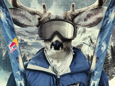 Swisscom Freeski Tour Flyer action sports flyer print red bull samsung sbb sport mint swisscom swisscom freeski tour switzerland