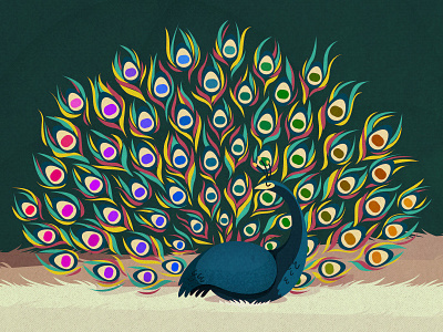 Peacock Palette cmyk color illustration palette peacock rainbow