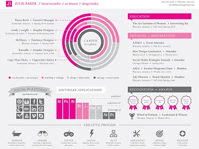 Infographic Resume design graphs icons illustration infographic resume