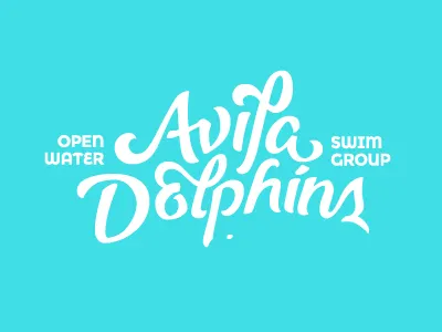 Avila Dolphins lettering brush pen dolphin lettering logo swim