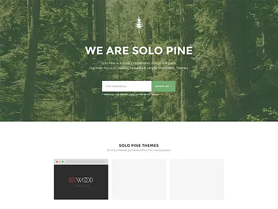 Solo Pine Website about about us connect follow forest illustration landing page newsletter pine subscribe themes website