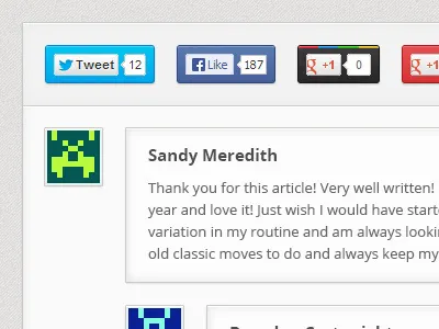 Blog Post Meta Data blog comments jcdfitness meta data newsletter social buttons