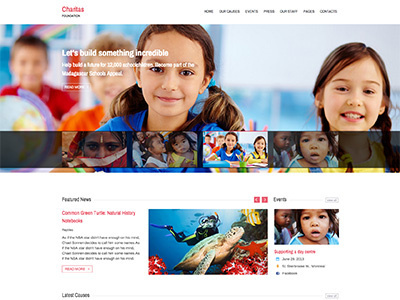Charitas / Foundation WordPress Theme blog causes charitas charity donation events foundation ngo staff
