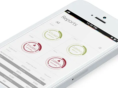 A look at project health (Reports) circles colors people project management ringmaster