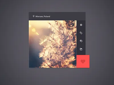 Widget icons like photo pin popup settings share tag ui user ux widget