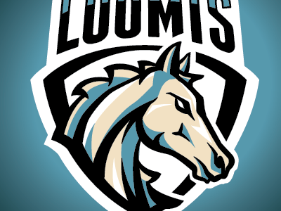 Stallion V1 crossfit head horse logo loomis stallion
