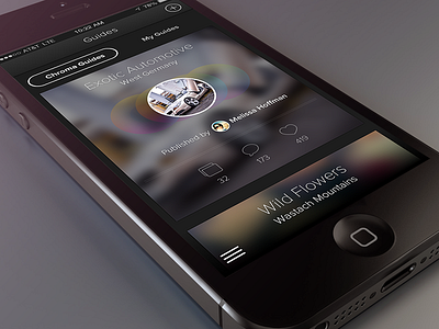 iPhone App - Guides app application guides ios ios7