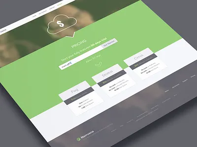 Pricing Page icons java pakistan perl php pricing python responsive ruby selenium ui design