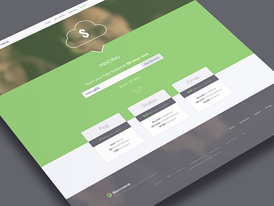 Pricing Page icons java pakistan perl php pricing python responsive ruby selenium ui design