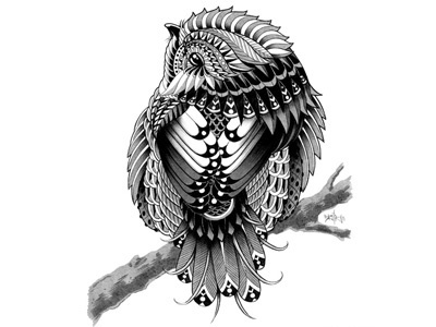 Chickadee By Ben Kwok On Dribbble