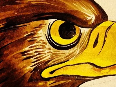 Eagle Again bird eagle illustration painting