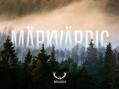 Markvardig branding logo markvardig