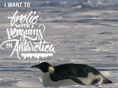 Pengins | Venture #BucketList advertising bucketlist capital one ink inverted lettering script series type typography venture card