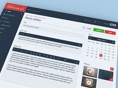 Webshocker CMS cms design development ui webshocker