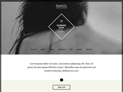 Diamond Guide for men ui web design website
