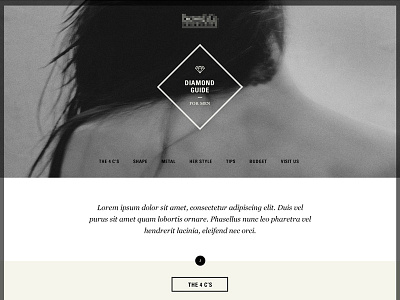 Diamond Guide for men ui web design website
