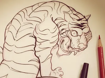 Hay Tony illustration ink pen pencil sketch tiger