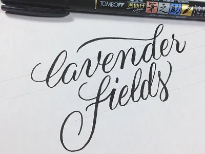 Brush-cerian? brush cerian brush pen bucketlist capital one ink lettering script series tombow type typography venture card