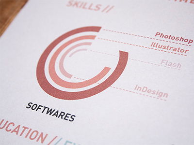 Personal resume behance blue branding chart cv experience identity print red resume skills softwares