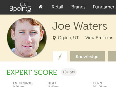 Retail Expert Profiles - 3point5.com avatar design expert klout member product profile retail score ui user interface webdesign