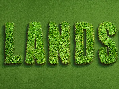 Grass Type grass green type