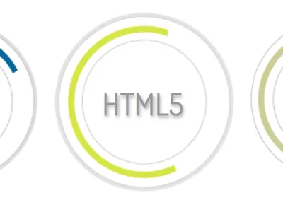 My skills on my portfolio website css3 html5 infographic php query skills web designer webdesign website wordpress