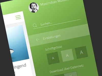 Project Preview - Settings box flat font green menu navi newsletter raptus search settings sleek switch