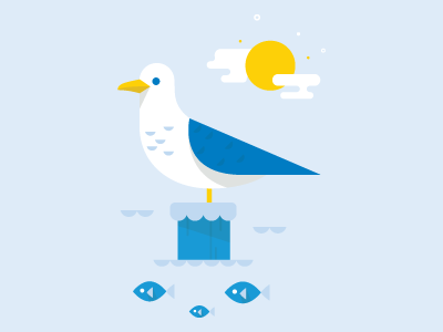 Seagull