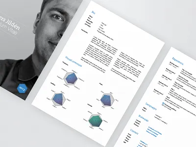 Resume template chart curriculum vitae cv experience graph job linkedin personal resume template work
