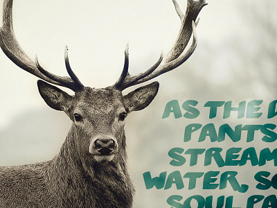 Psalm 42:1 audacious bible daily verse psalms quote typography verses