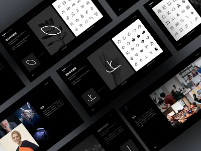 Brand proposal 02 branding design iiiustrator ui