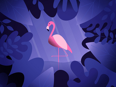 Pink flamingo design flamingo illustration pink rozov wnbl