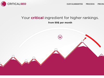 CriticalSEO website design homepage landing onepage page ui web website