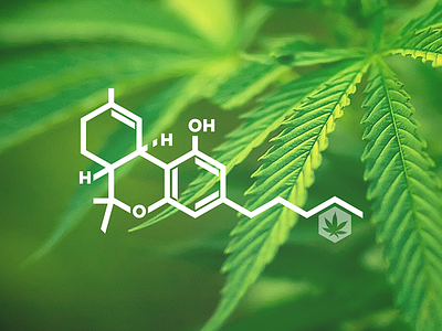 Weed-powered desktop desktop it over pass rebound wallpaper weed