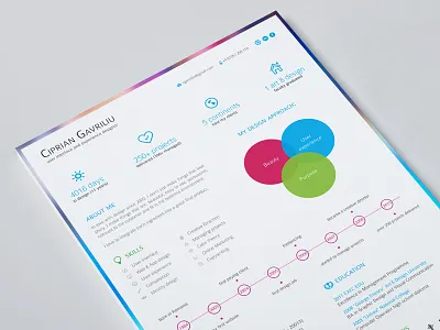 My Visual Resume clean curriculum vitae cv graphic design icons infographic information resume skills visual