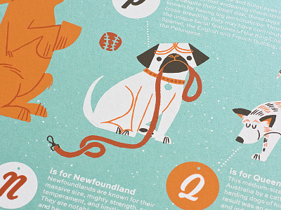 PUG! dog breeds dog poster dogs dogs poster limited edition lydia pug