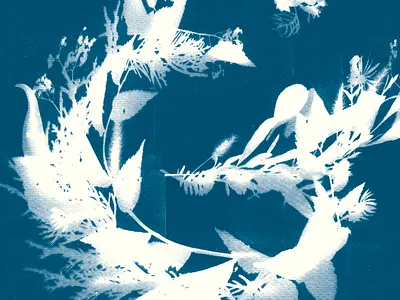 Sunpaper Ampersand ampersand flora nature sunpaper type