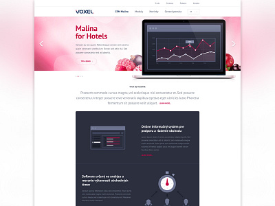 Malina :) clean colorful header homepage icons landing simple ui webdesign website
