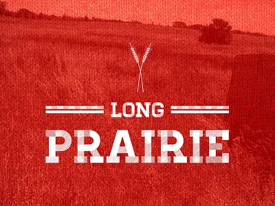 Long Prairie city minnesota town