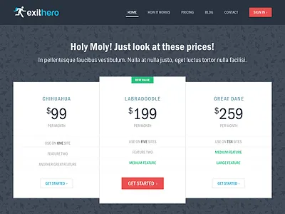 Exit Hero Pricing button flat headline navigation pattern pricing startup table ui web website