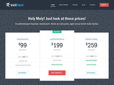 Exit Hero Pricing button flat headline navigation pattern pricing startup table ui web website