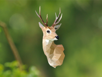 Deer animals blur deer poly