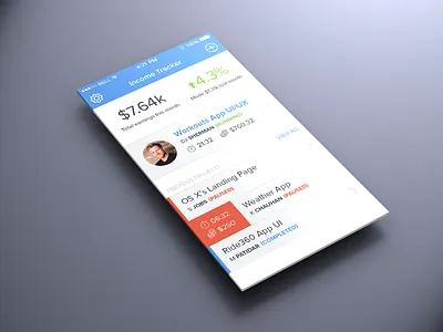 Income Tracker App app design ios ios7 iphone ui ux