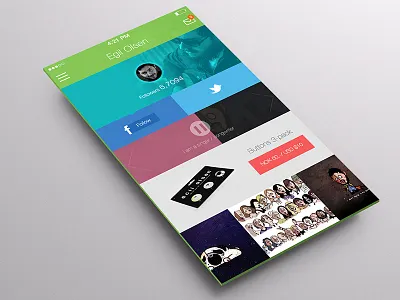 Egil Olsen qiller ui